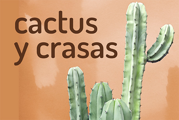 Cactus y Crasas