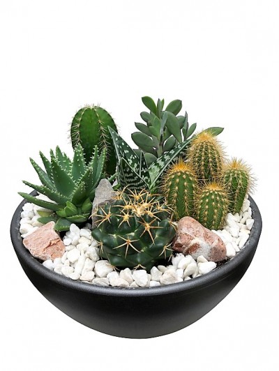 Centro de cactus ceramica
