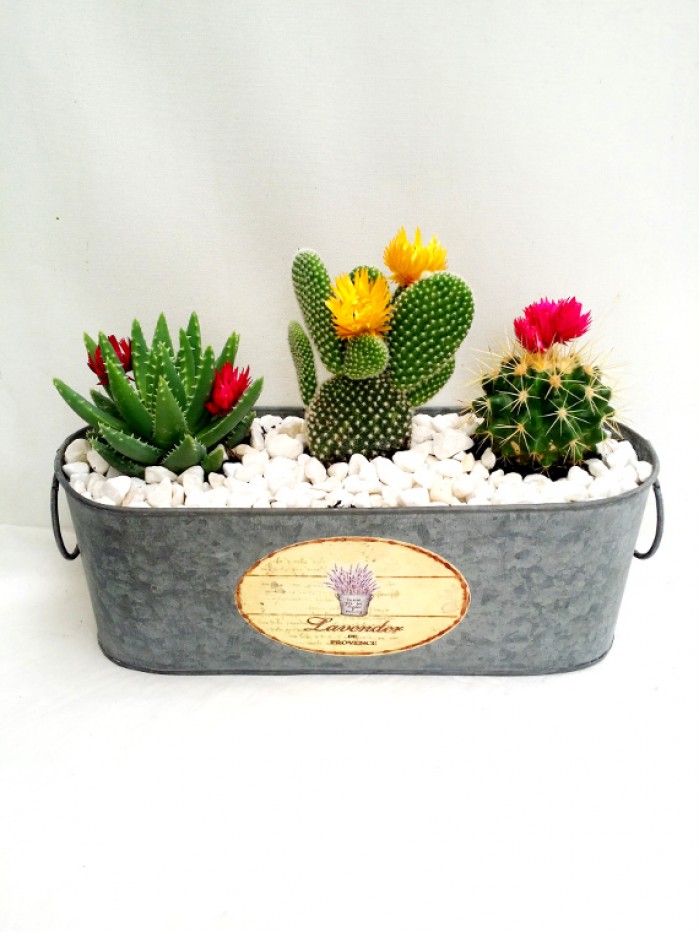 Centro de cactus flor en laton