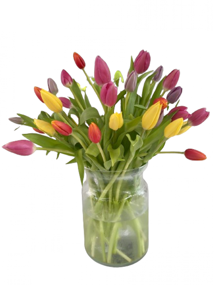 Bouquet de 40 tulipanes variados cuatro colores