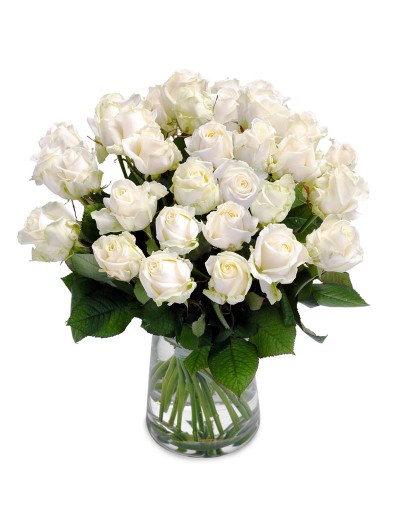 Jarron de 24 rosas blancas tallo largo