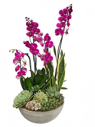 centro de  orquideas moradas con crasas en ceramica