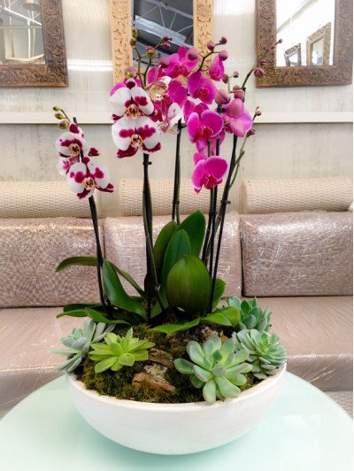 centro de orquideas rosas con crasas en ceramica