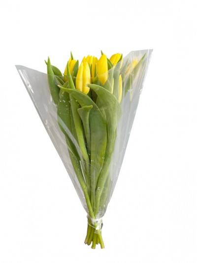 Paquete de 10 tulipanes amarillos