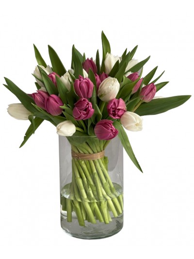 Bouquet de 40 tulipanes dos colores